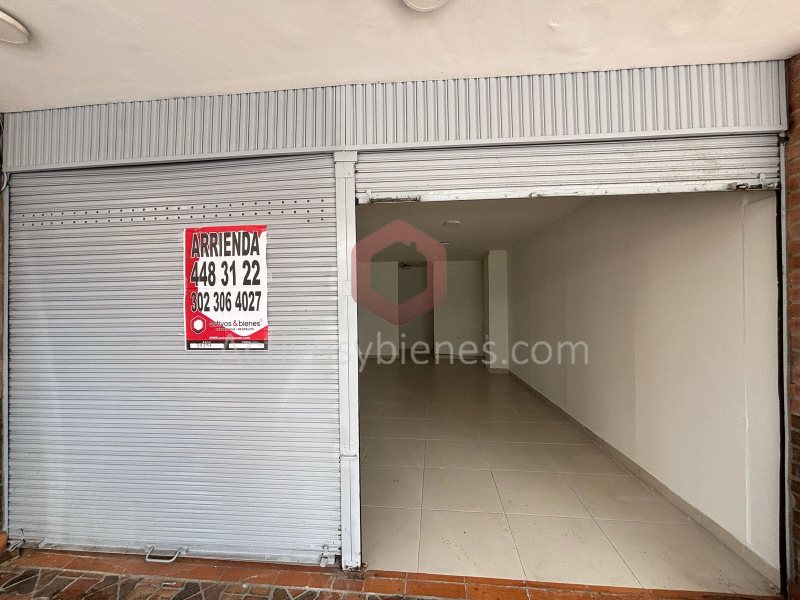 Local en Arriendo en Santa  Ana