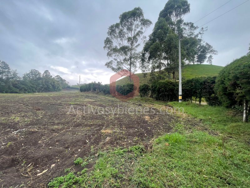 Terreno en Arriendo en Vereda Capiro