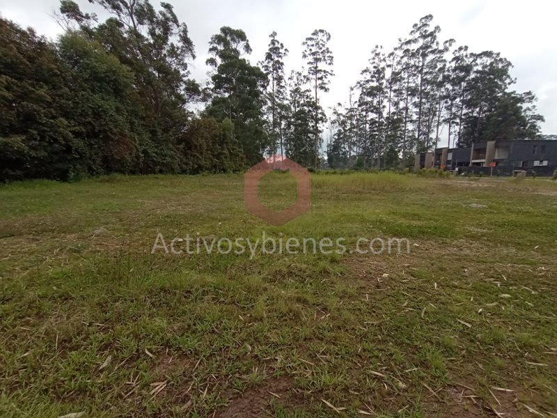 Terreno en Venta en Porvenir