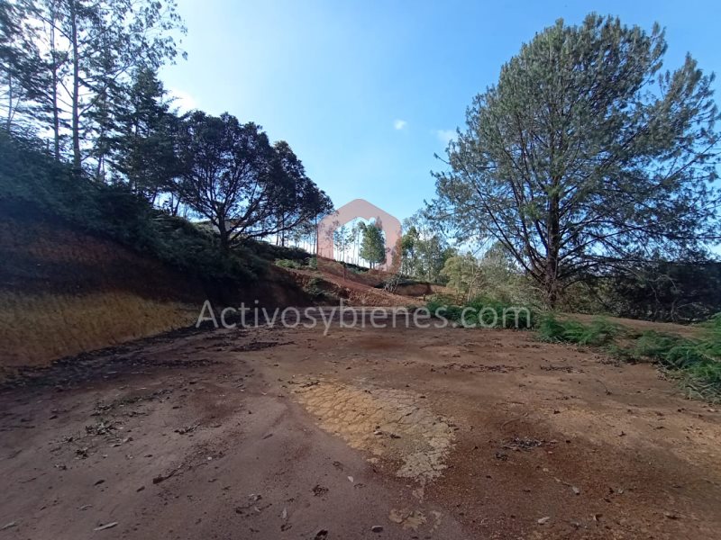 Terreno en Venta en Vereda La Compañia