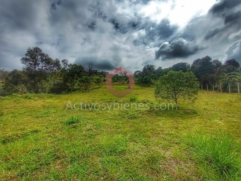 Terreno en Venta en Vereda La Mosquita